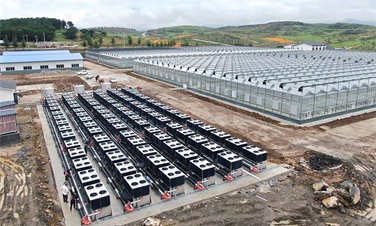 助力綠色農業發展！貴州3萬平蔬菜大棚建設碧淶空氣能采暖工程